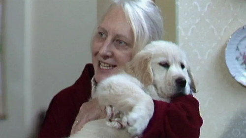 The Dog