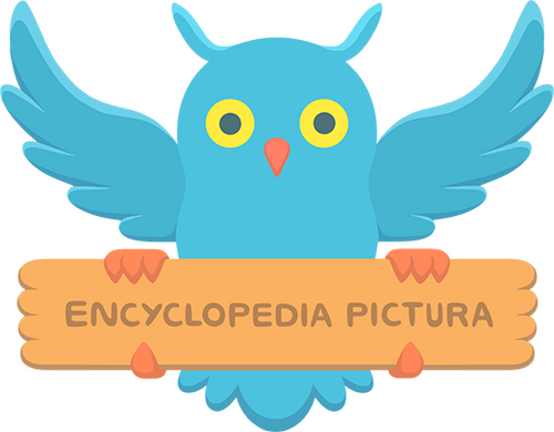 Production Company Logo