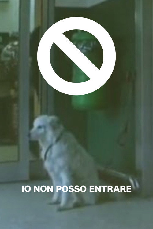 Io non posso entrare poster 3