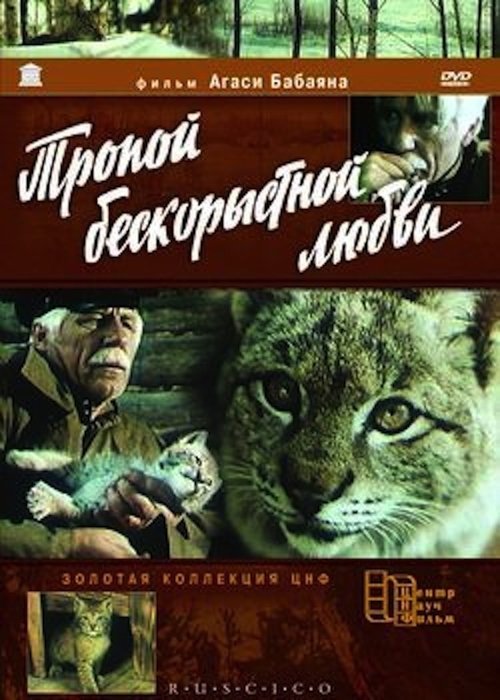 The Lynx' Adventures