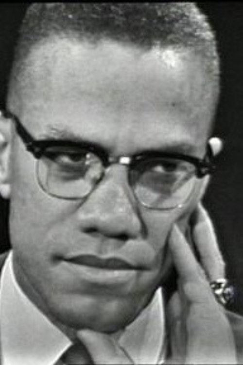 The Negro and the American Promise Poster