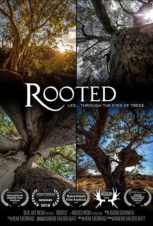 Rooted Life Through The Eyes Of Trees电影海报