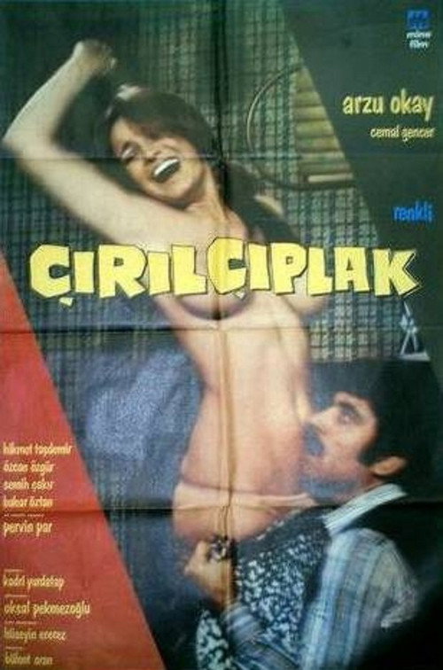 Çırılçıplak poster 2