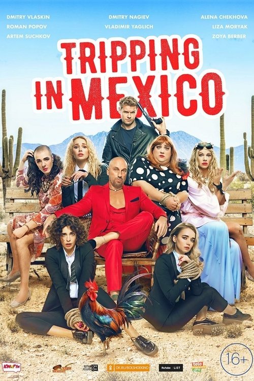 Tripping in Mexico Poster