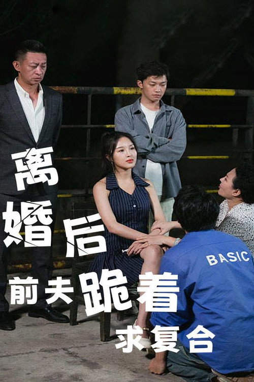 离婚后，前夫跪着求复合电影海报