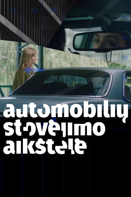 Automobili%C5%B3+stov%C4%97jimo+aik%C5%A1tel%C4%97