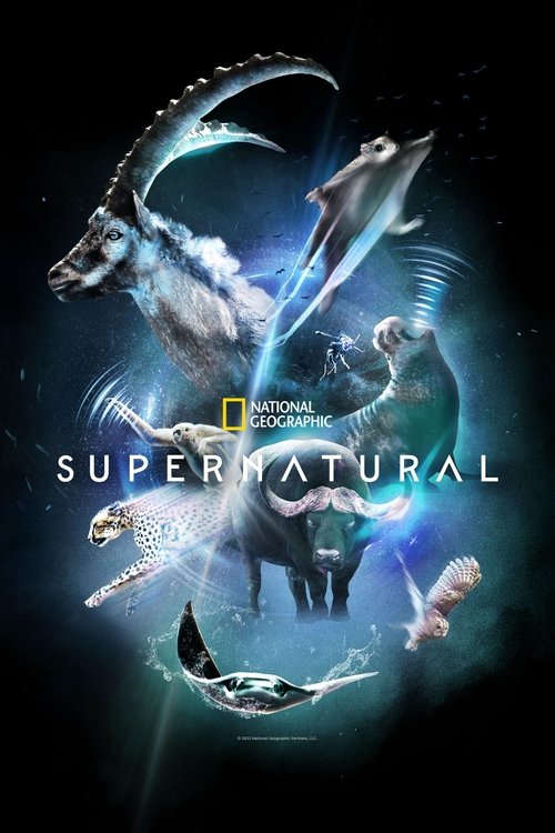 Poster of Super/Natural