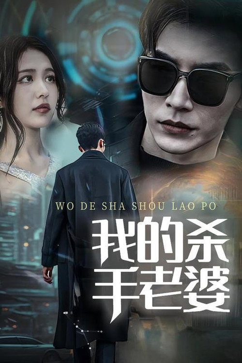 我的杀手老婆电影海报