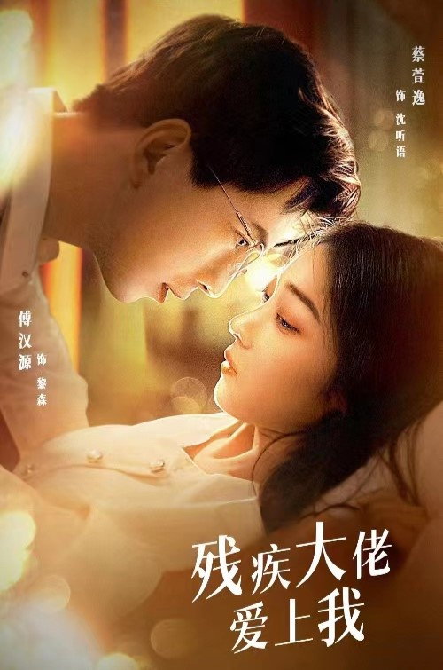 残疾大佬爱上我电影海报