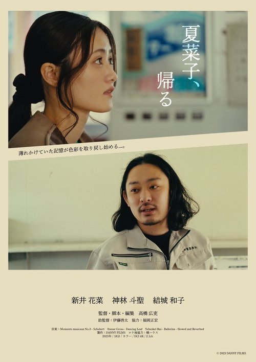 Laundromat Poster