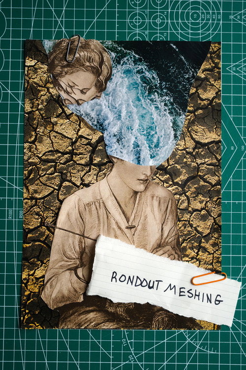 Rondout Meshing poster 3