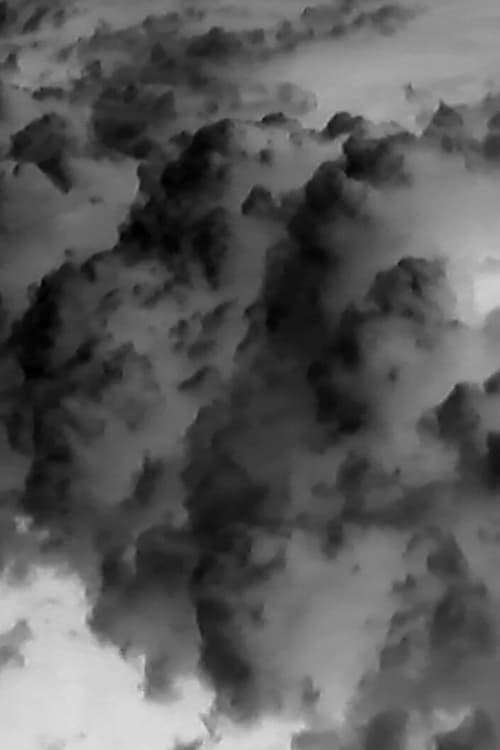 Above the Rain 2019 Above the Rain 2019