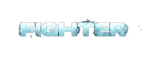 Fighter