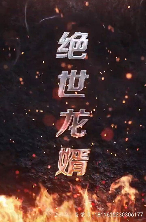 绝世龙婿电影海报