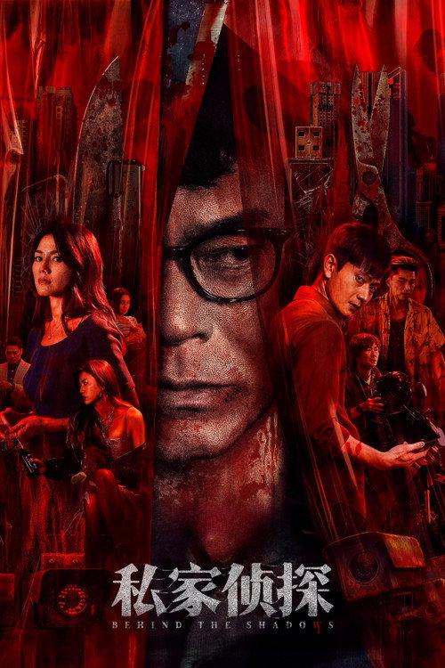 私家侦探电影海报