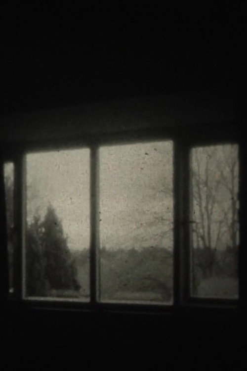 My Window