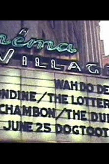 New York Conversations