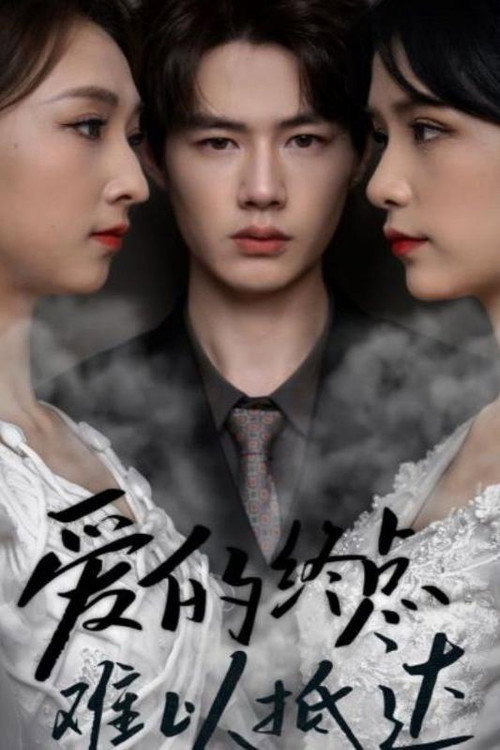 爱的终点难以抵达电影海报