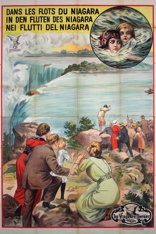 The Diver Poster