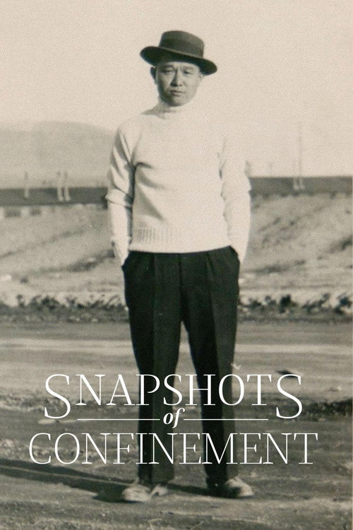 Snapshots of Confinement电影海报