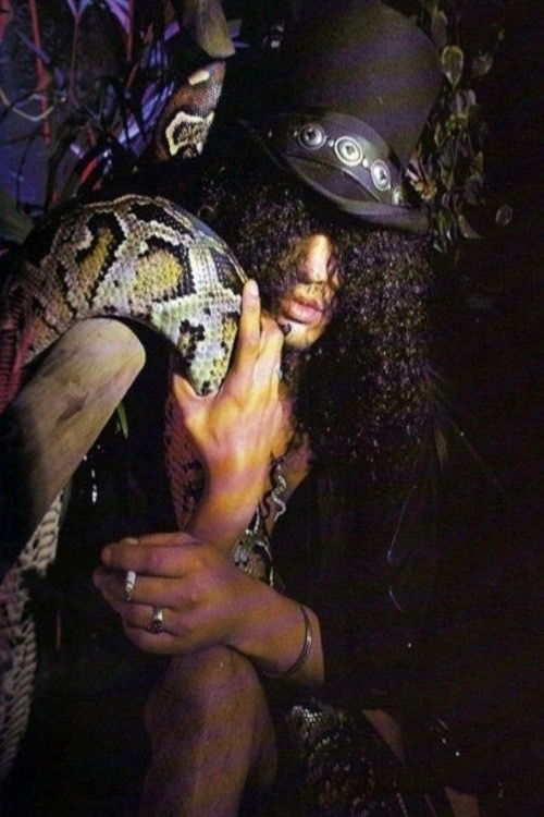 slash’s snakepit - pinkpop 1995