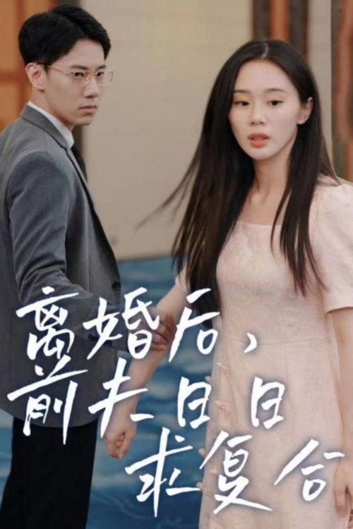 离婚后，前夫日日求复合电影海报