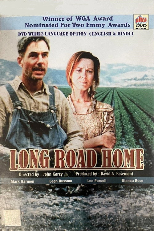 Long Road Home poster 2