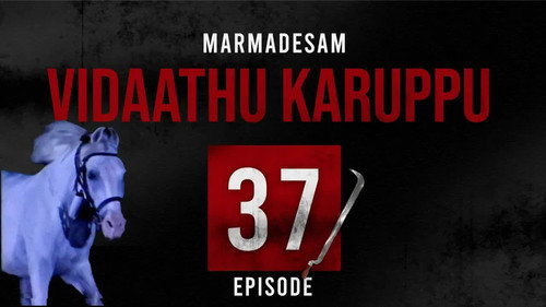 Episode 37