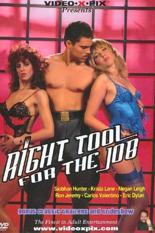 Right Tool For The Job Poster