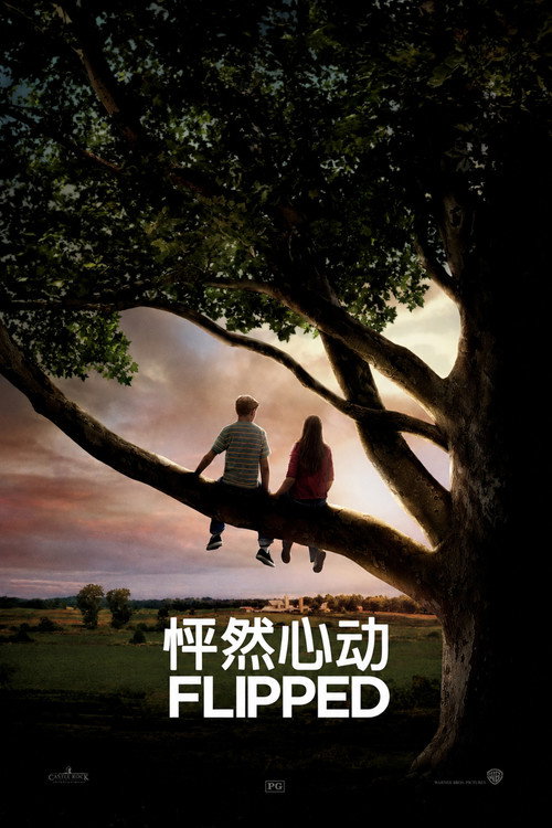 怦然心动电影海报