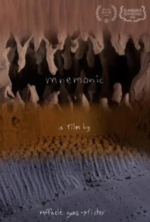 mnemonic