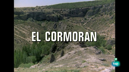 The Cormorant
