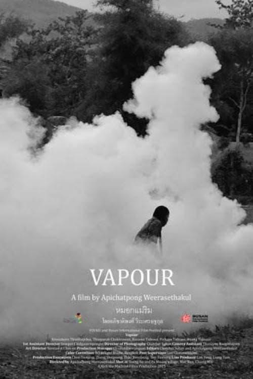 Vapour