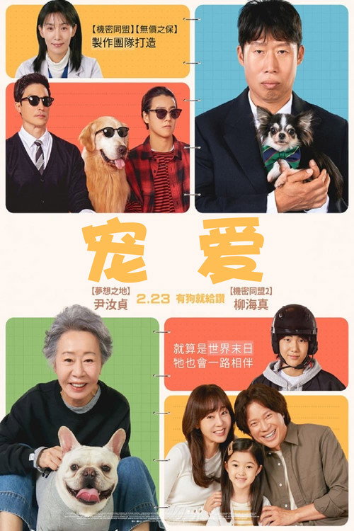 宠爱电影海报