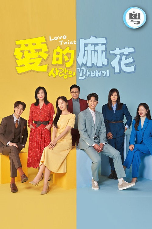 爱的麻花电影海报