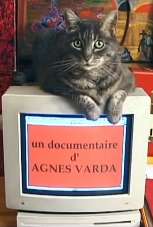 Ver Hommage à Zgougou (et salut à Sabine Mamou) (2002) COMPLETA AUDIO LATINO Ver Pelical Hommage à Zgougou (et salut à Sabine Mamou) (2002) Gratis en línea