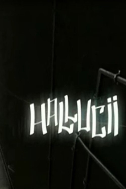 Hallucii电影海报