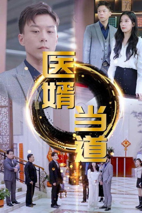 医婿当道电影海报