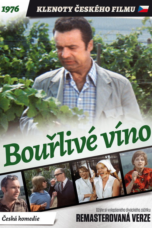 Wine Working poster 4