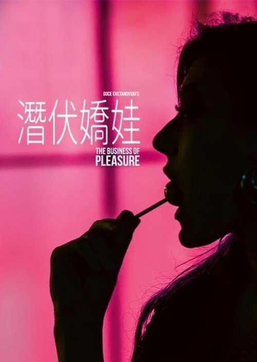 潜伏娇娃电影海报