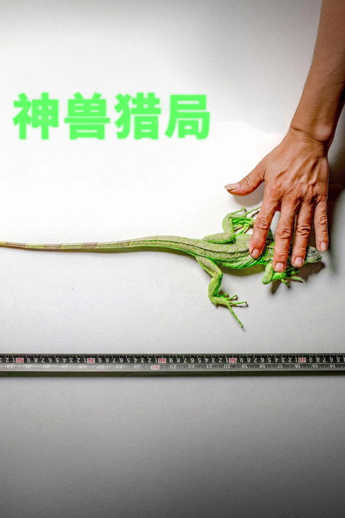 神兽猎局电影海报