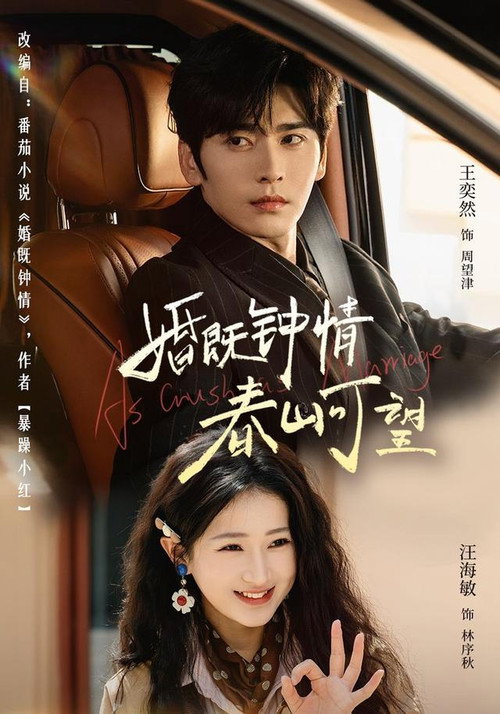 婚既钟情，春山可望电影海报
