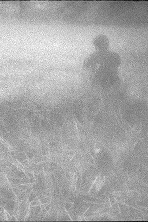 หนังสั้นจาก 2012