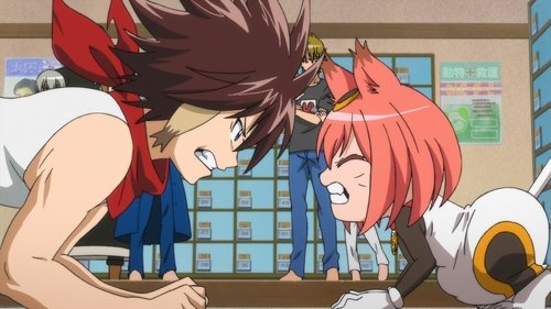 Binbougami ga! - 11. Bölüm