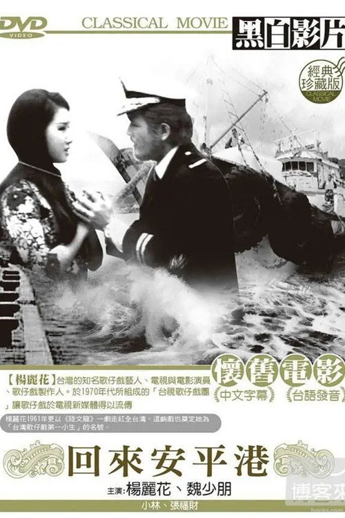 Back to Anping Harbor poster 2