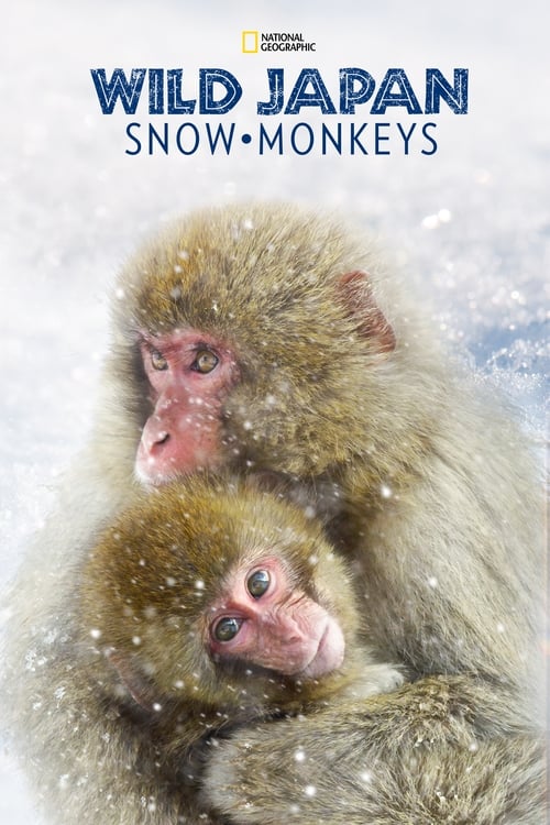 Wild+Japan%3A+Snow+Monkeys