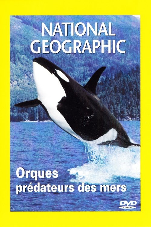 Orcas, Predators of the Seas