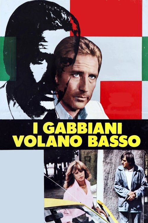 I+gabbiani+volano+basso