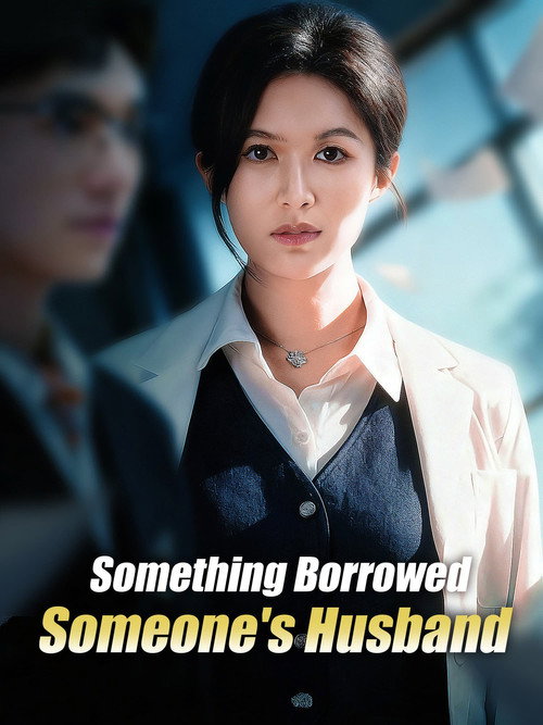 Something Borrowed, Someone&rsquo;s Husband电影海报