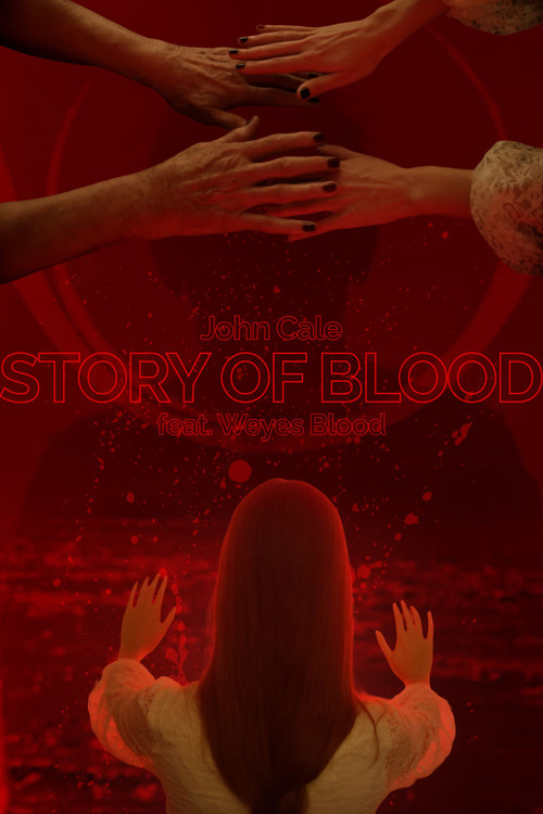 STORY OF BLOOD电影海报